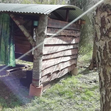 Sapphire Forest Garden Shepherd'S Hut Church Stretton Dış mekan fotoğraf