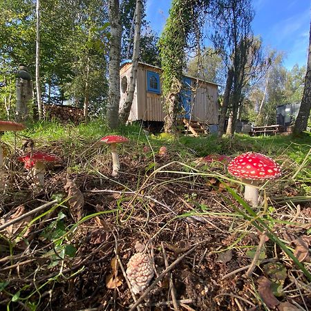 Sapphire Forest Garden Shepherd'S Hut Church Stretton Dış mekan fotoğraf