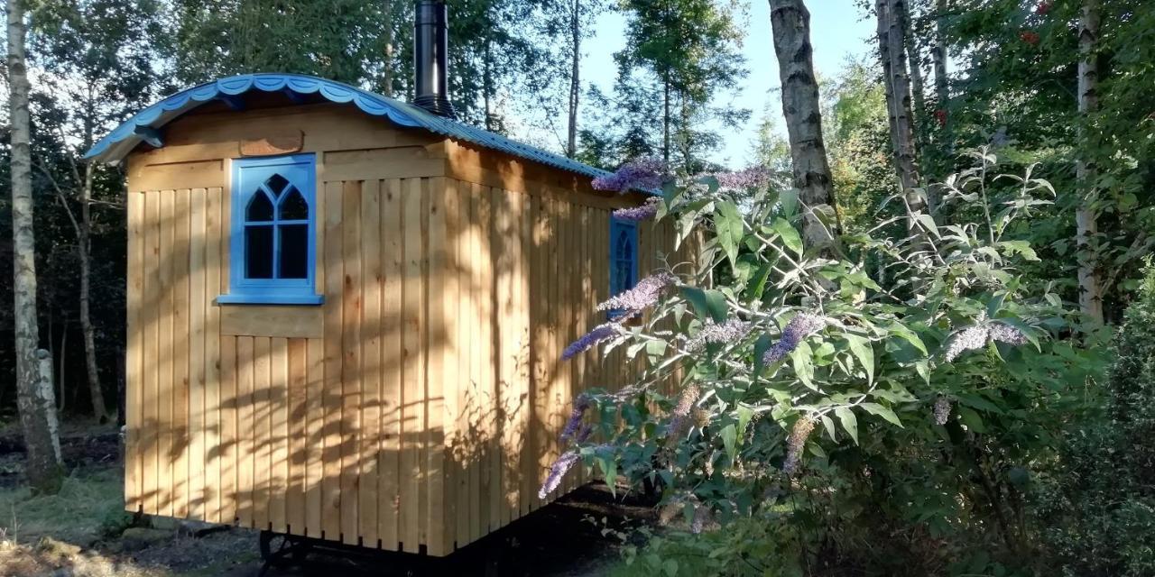 Sapphire Forest Garden Shepherd'S Hut Church Stretton Dış mekan fotoğraf