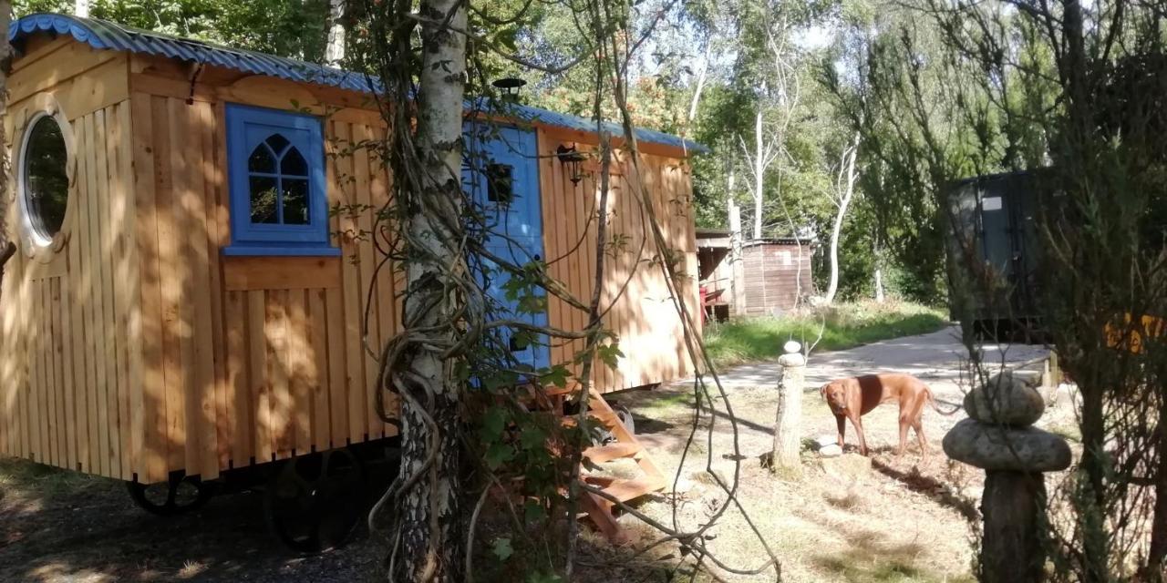Sapphire Forest Garden Shepherd'S Hut Church Stretton Dış mekan fotoğraf