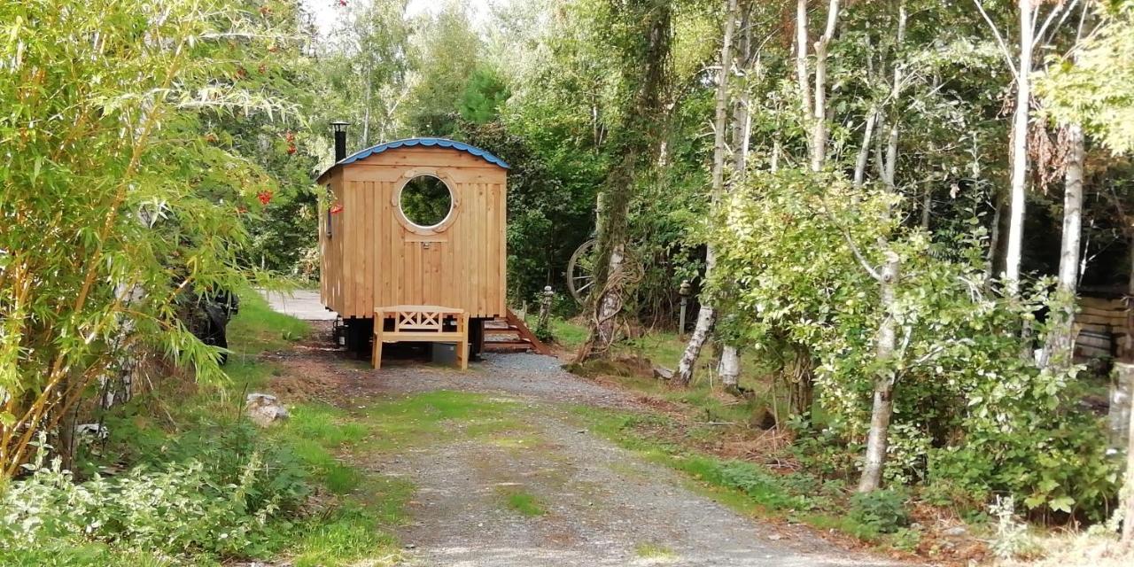 Sapphire Forest Garden Shepherd'S Hut Church Stretton Dış mekan fotoğraf