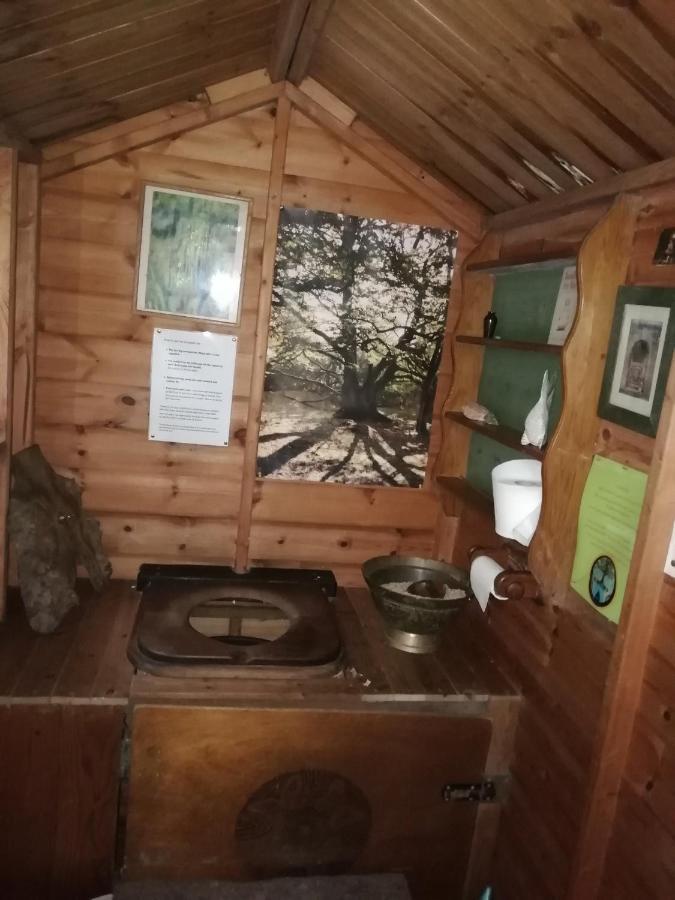 Sapphire Forest Garden Shepherd'S Hut Church Stretton Dış mekan fotoğraf