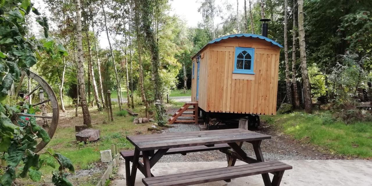 Sapphire Forest Garden Shepherd'S Hut Church Stretton Dış mekan fotoğraf