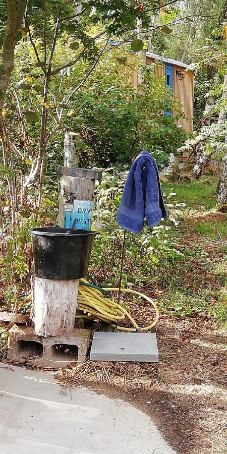 Sapphire Forest Garden Shepherd'S Hut Church Stretton Dış mekan fotoğraf